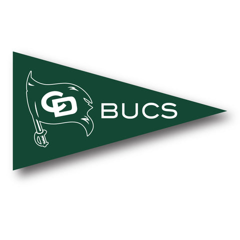 Collegiate Pacific 4.5 X 2.5 Mini Sticky Traditional Pennant